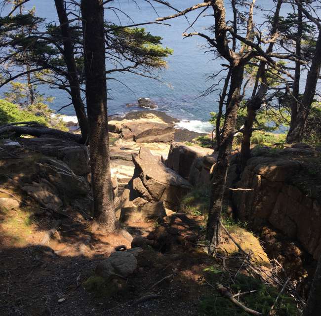 The day in Acadia National Park