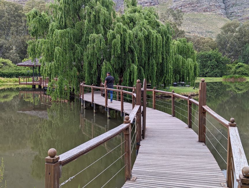 Weintasting's in Stellenbosch