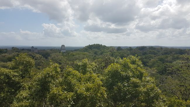El Remate & Tikal / Guatemala