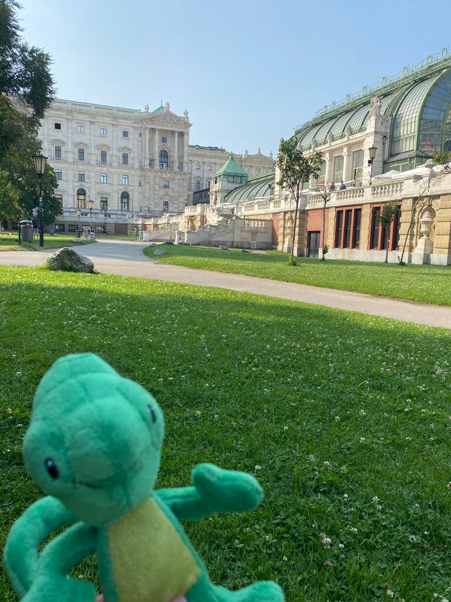 Leon tarnt sich im Hofgarten. 