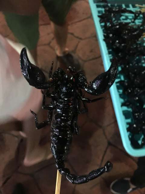 Frittierter Skorpion 