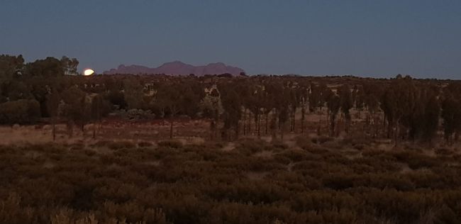 Uluru!!! :)