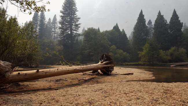 20.07.17 - 22.07.17 hier sollte jetzt eigentlich Sequoia National Park stehen...