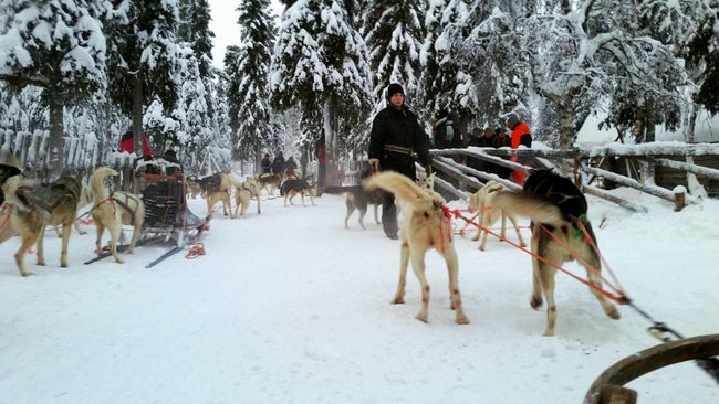 The land of snow and reindeers...