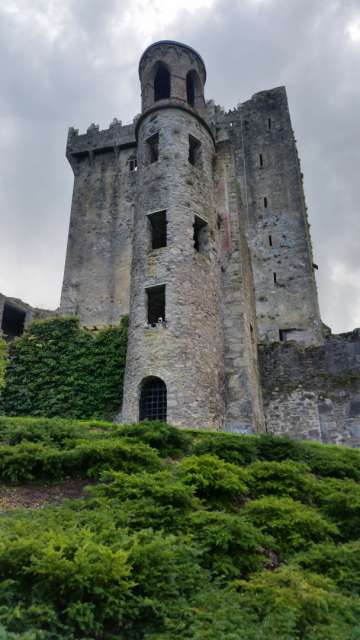 Visit from home & Blarney Castle