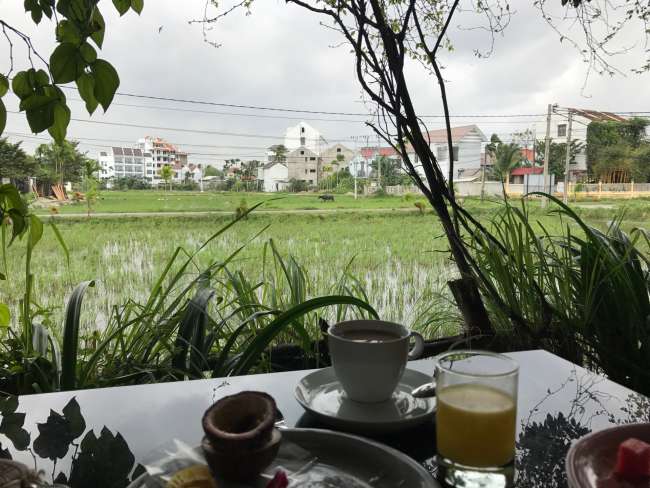 Breakfast at the rice field