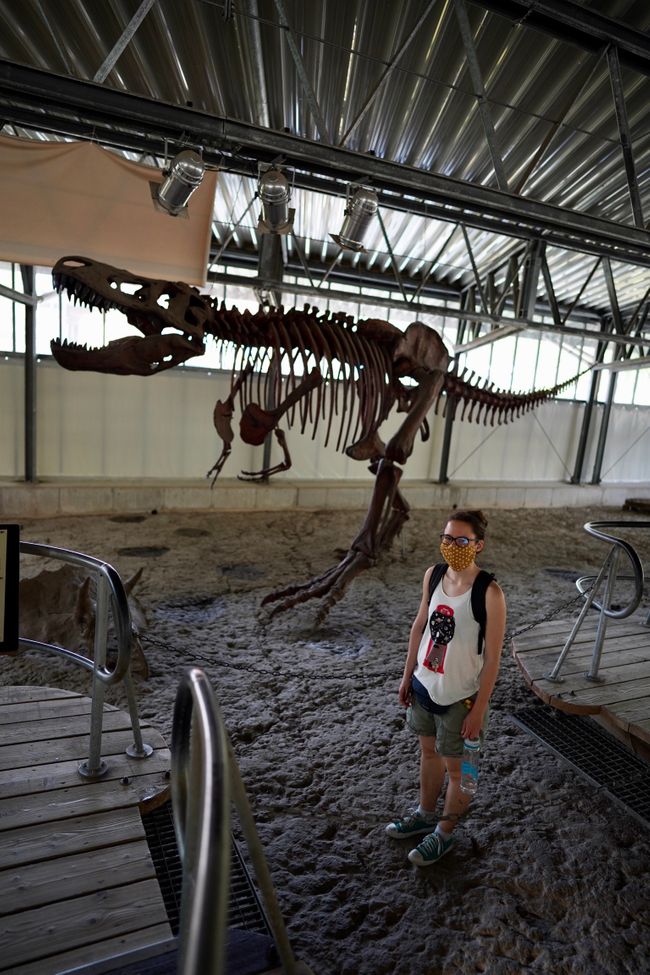 Tag 4: Ich glaub, die Dinos sind da!