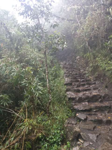 Trail to Machu Picchu Mountain 1