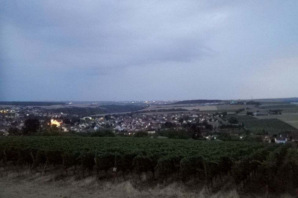 Abendlicher Spaziergang mit Blick auf Rimpar und die Weinberge vom 'Kobel'