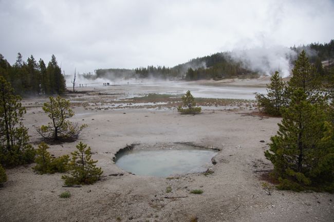 A day in Yellowstone National Park