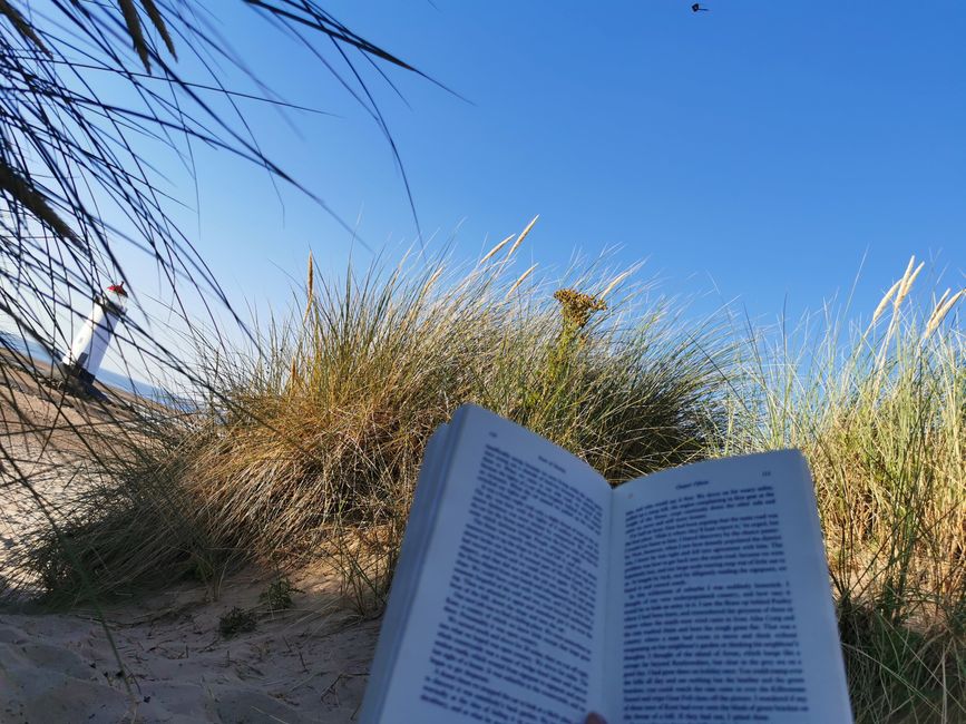 Reading on the beach - what could be better? 