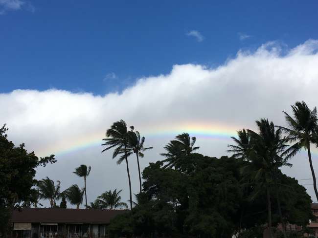 Regenbogen über Maui