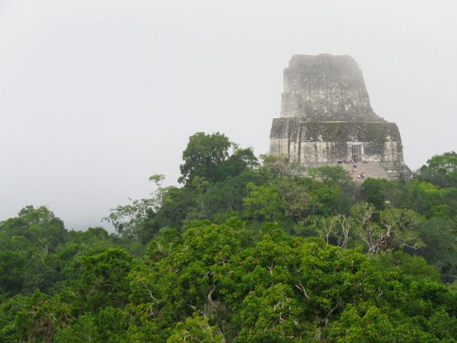 On the trails of the Maya in Tikal