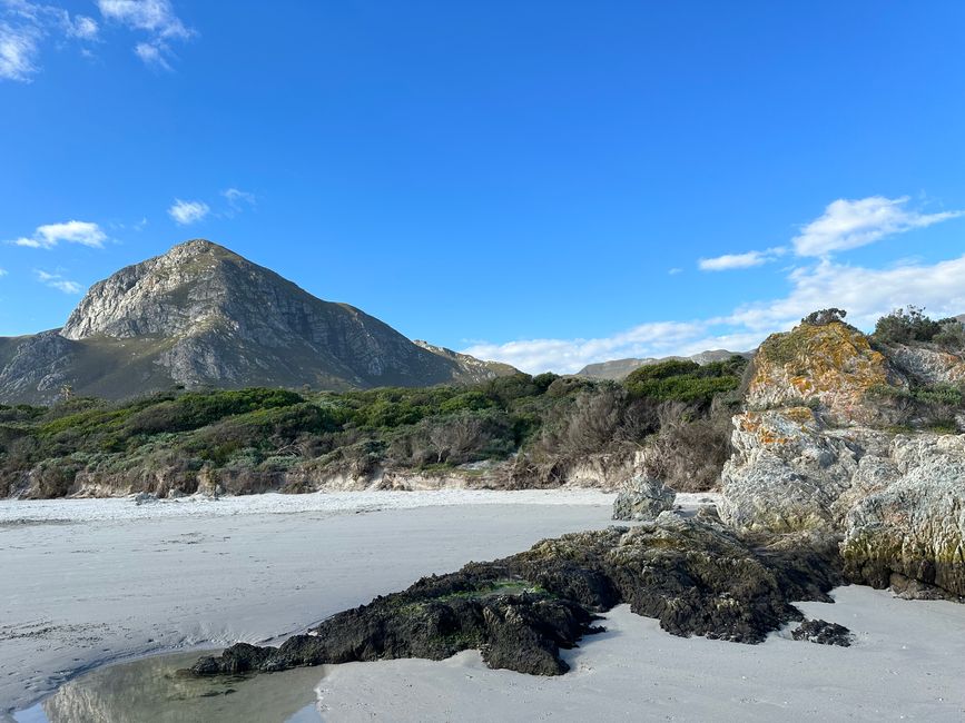 Hermanus ♥️