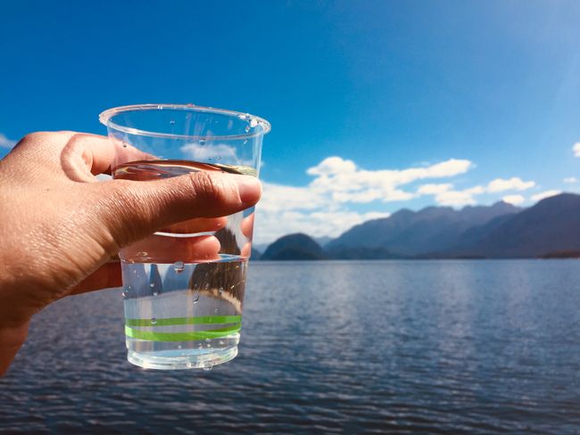 Das klarste Wasser Neuseelands