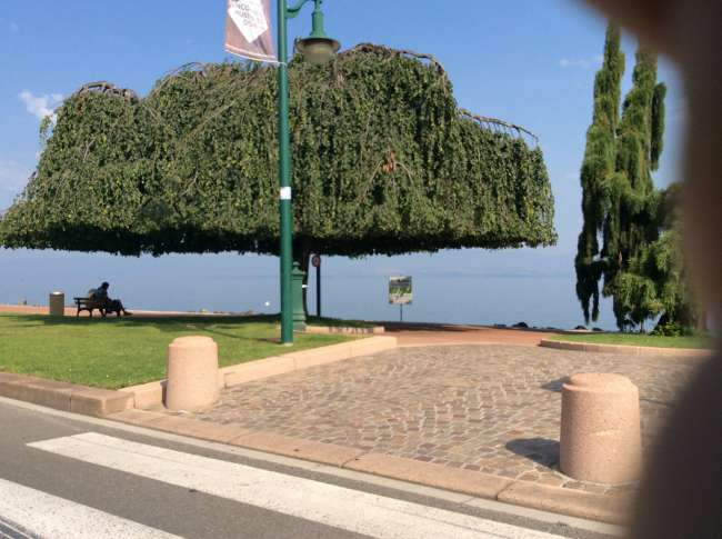 Lac Leman (Lausanne, Switzerland) 6th July 2015