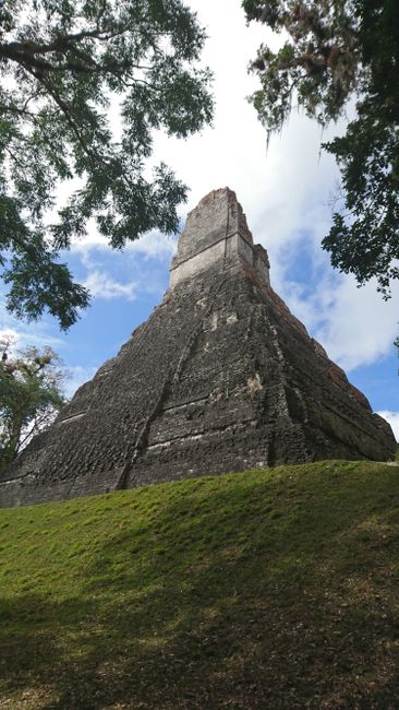 maya ruine in tikal