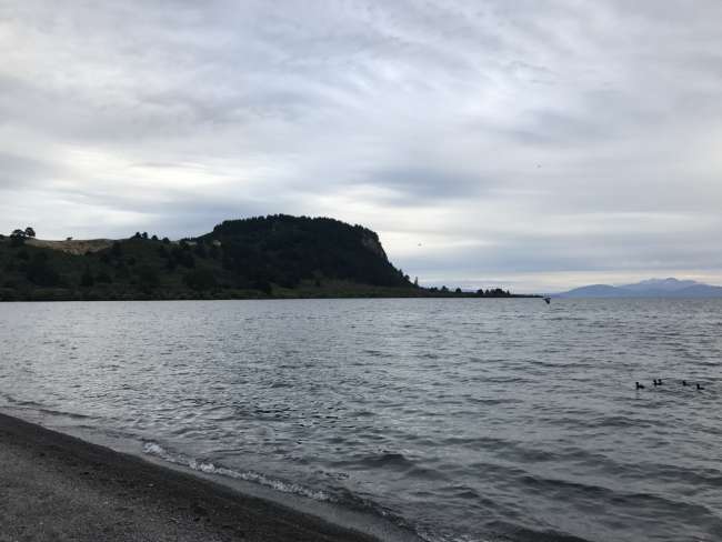 Lake Taupo - The Fishing Pro