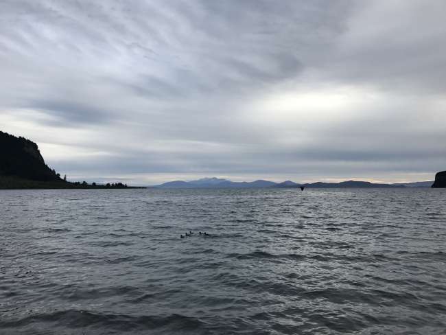 Lake Taupo - Der Angelprofi