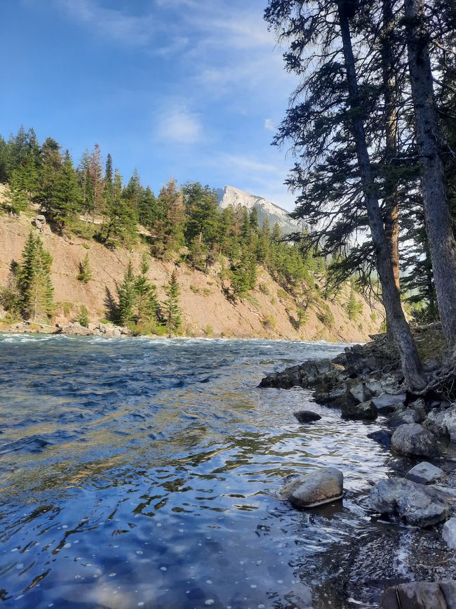 Bow River in Banff, ein schöner entspannter Wanderweg am Fluss entlang.