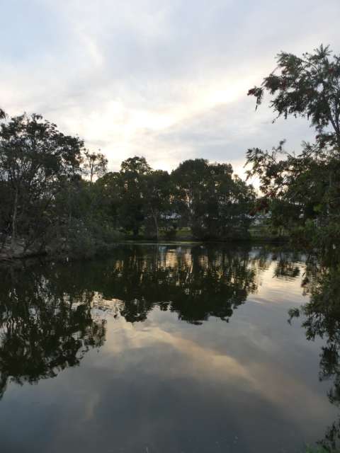 Bird pond in the evening