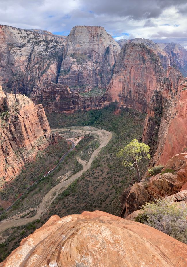 Arrival and Zion National Park