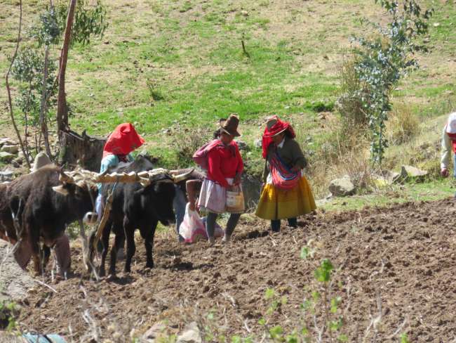 Farmers in traditional clothing