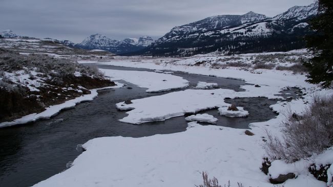01/11/2019 bis 03/11/2019 - Spokane → Yellowstone Nationalpark → Billings / USA (1.321 Kilometer)