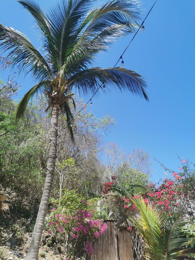 „Puerto angelas“ – Meksikos salos svajonė