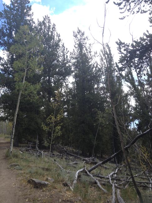 Randonnée Ouest : Colorado Trail