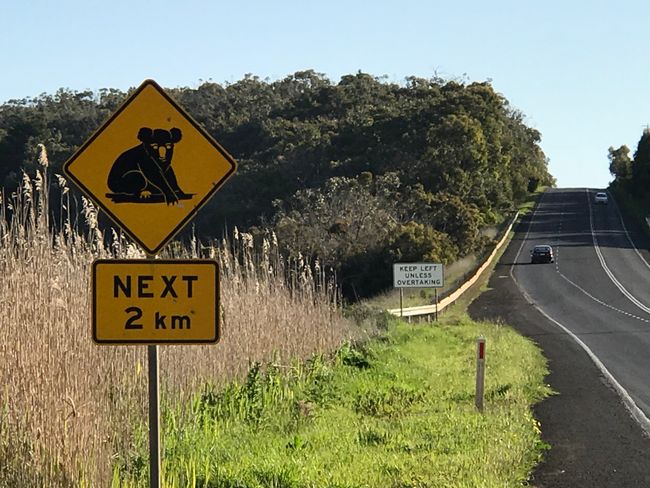Goodbye Great Ocean Road and Hello Kangaroo Island