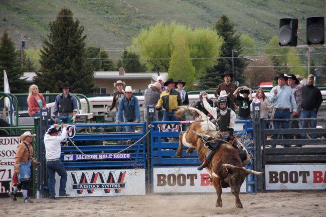 Jackson Hole Rodeo and a trip to Idaho