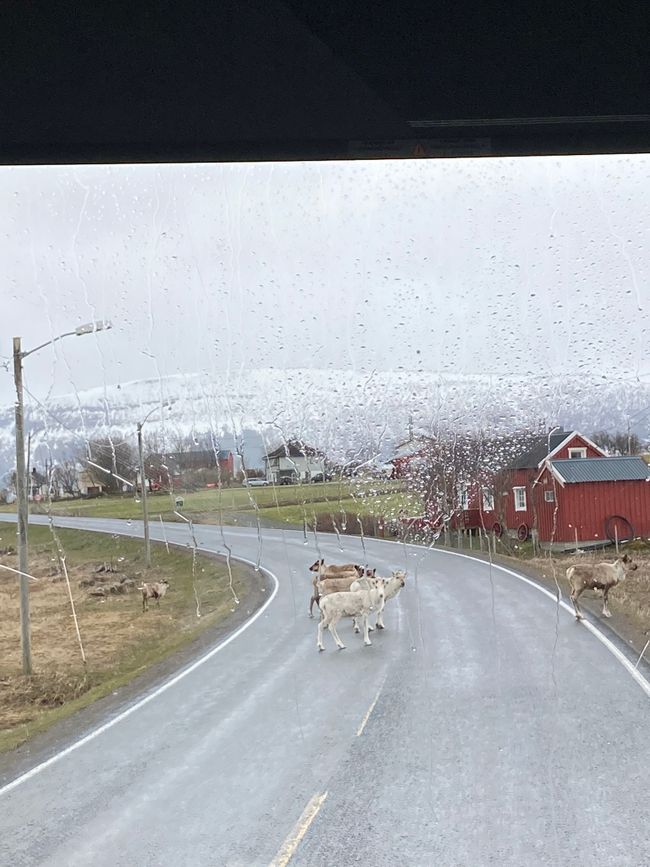 Arrival in Lofoten, Norway