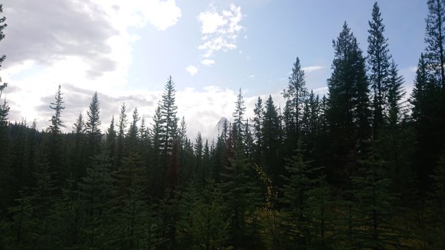 Bow Valley, Banff Nationalpark 