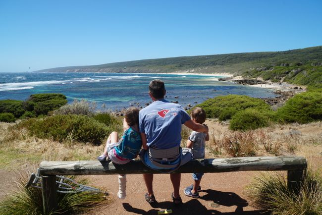 South-West-Australia - Kangaroos for dinner, dolphins and pelicans for a picnic