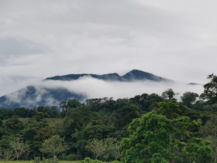 Auszeit zu zweit... 10 Tage im immergrünen Costa Rica