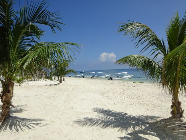 Dream beach in Puerto Morelos