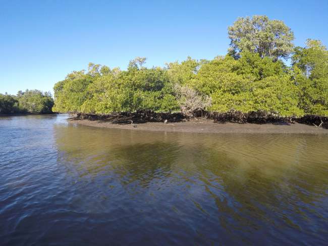 Seitenfluss der Everglades