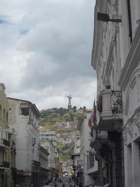 Quito and Jungle Adventures-light