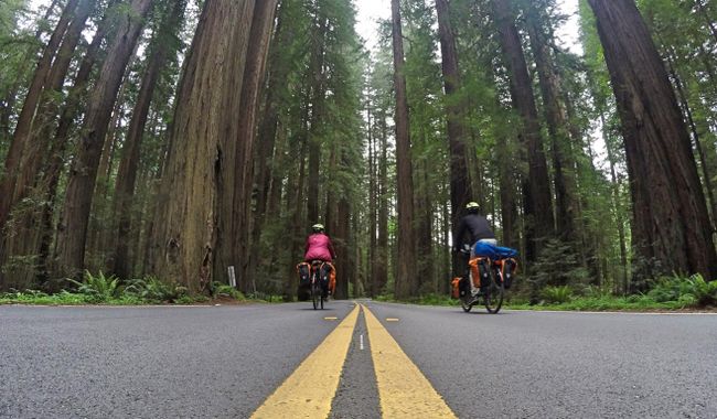 Avenue of the Giants: Our GoPro was run over by the car!!!