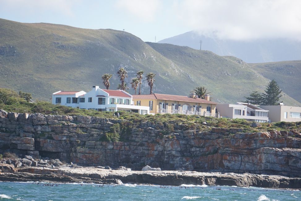 Hermanus ♥️