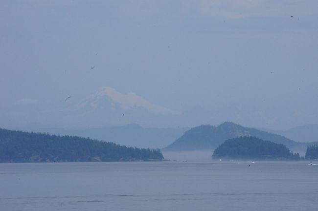From Vancouver Island along the San Juan Islands to Seattle