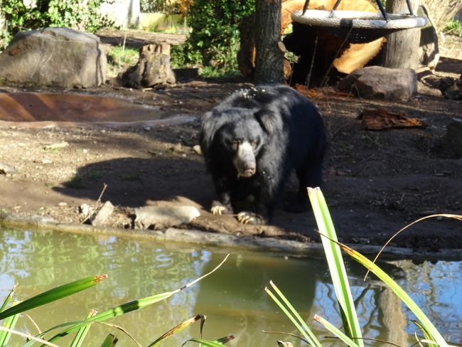 Zoo Leipzig