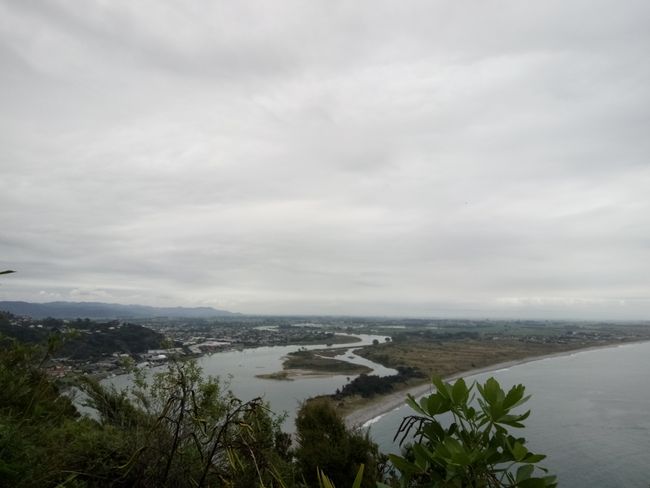View of Whakatane