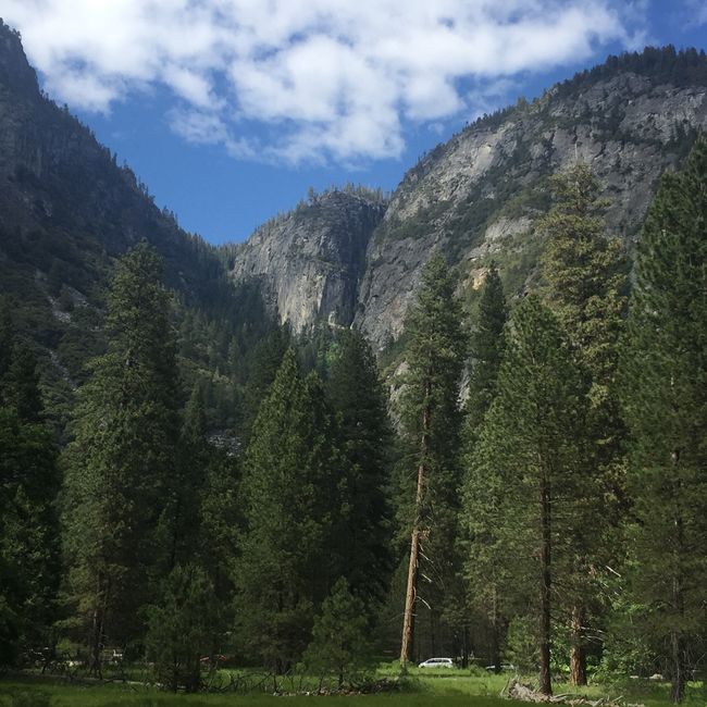 Page - Yosemite National Park
