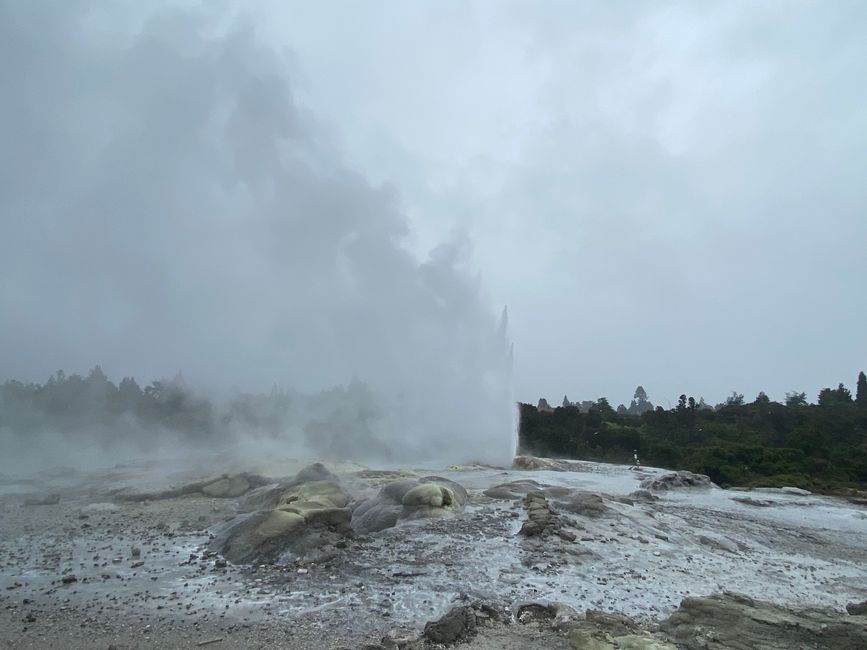 Geyser Pōhutu during an eruption