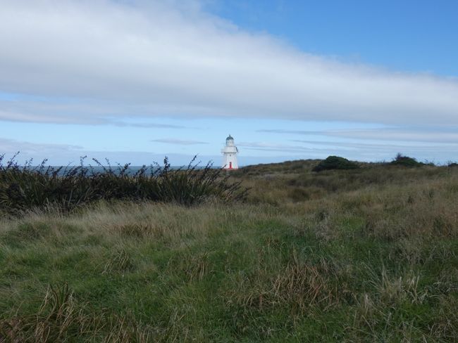 Waipapa Lighthouse 🍃