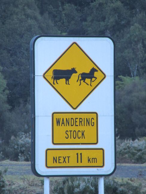 When the signs are here, the animals really run on the road.