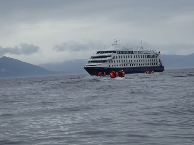 BLOG 24 - 1 / Ship Cruise Tierra del Fuego y Cabo de Hornos (Part 1 from Punta Arenas to Pia Glacier)