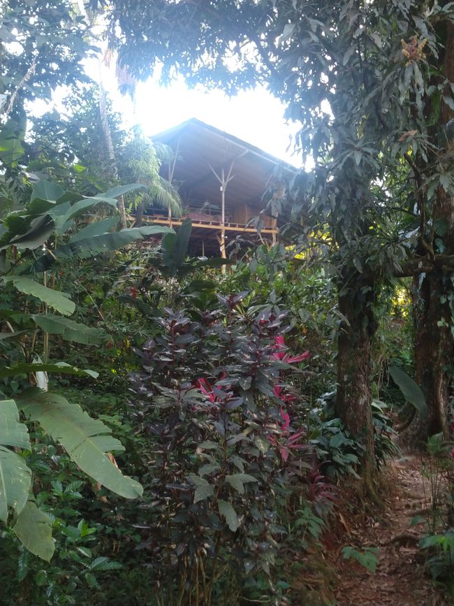 Cascada Verde: Jungle - Camp in Uvita